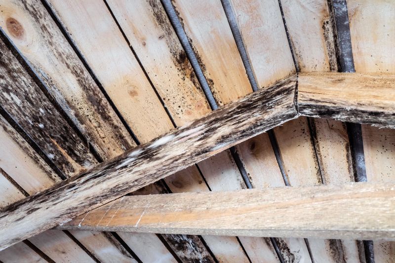 Floor Joists Repair in Wilmington, NC
