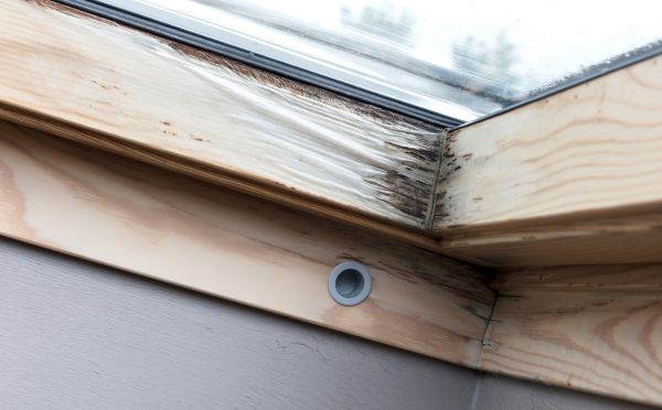 Window Frame Rot Repair